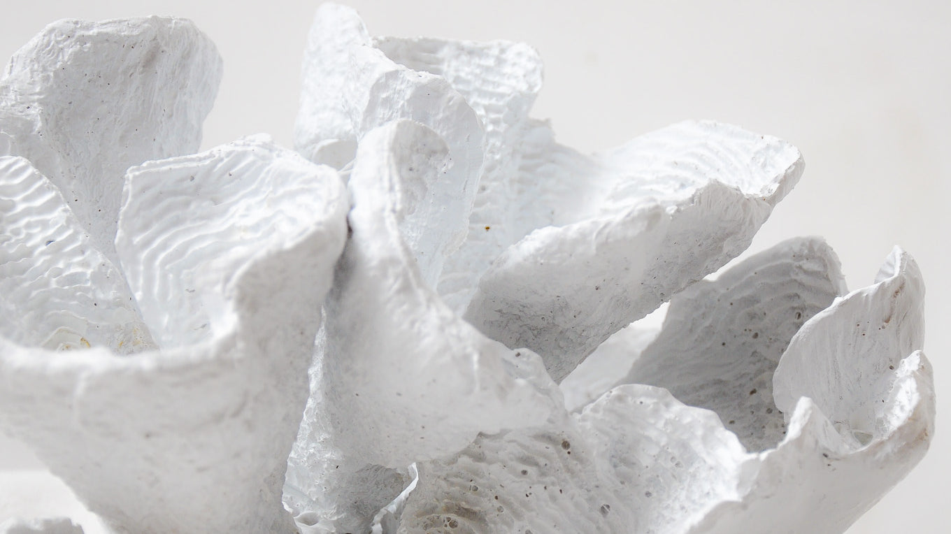 Dive into Tranquility: Discover Our Curated Collection of Coastal Decor